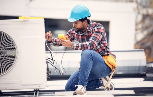 Best Electrician for Home Renovation  in Home Gardens, CA