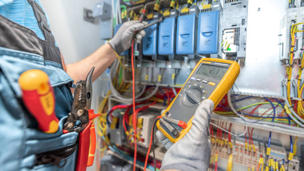 Best Electric Panel Repair  in Home Gardens, CA